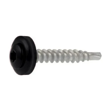 Skrutky TORX RAL 9005 polyester (250 ks) – GS DOM